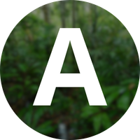 Depoimento da cliente Ana Souza