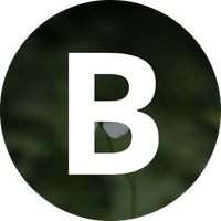 Depoimento do cliente Bruno Lima