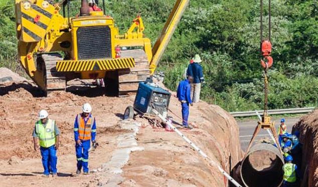 Equipe técnica da Solution Ambiental em atuação