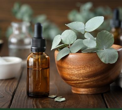 Conecte-se à natureza com produtos 100% naturais da amazônia